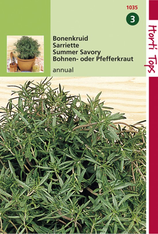 Bonenkruid eenjarig (Satureja hortensis) 3000 zaden